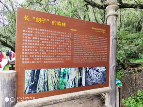 七彩云南，心灵之旅 探秘铜瓦古韵